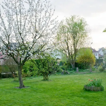 Bed & Breakfast Wellintown Waterloo