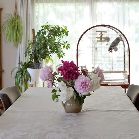Bed & Breakfast Wellintown *