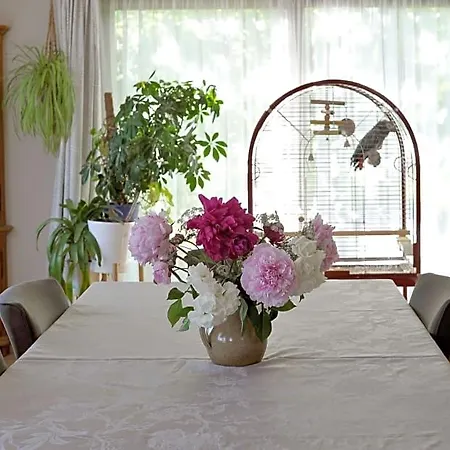 Bed & Breakfast Wellintown Waterloo